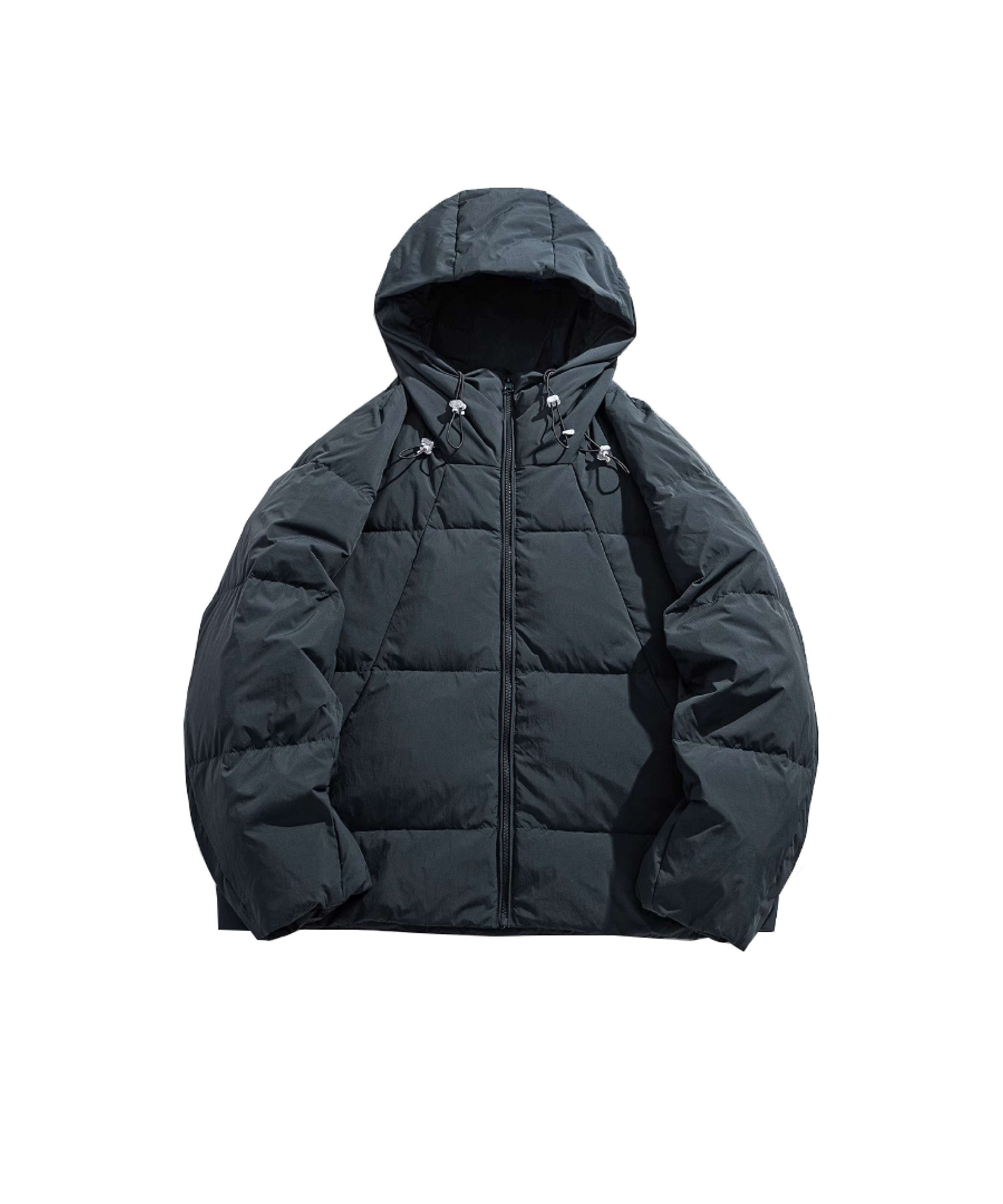 Hoodie Duck Down Coat