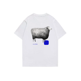 U:Oxford Sheep T