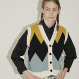 Constrasting Color Blocks Knit Vest