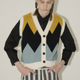 Contrasting Color Blocks Knit Vest